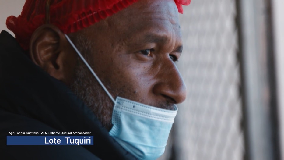 AGR Labour, Pacific Palm Scheme